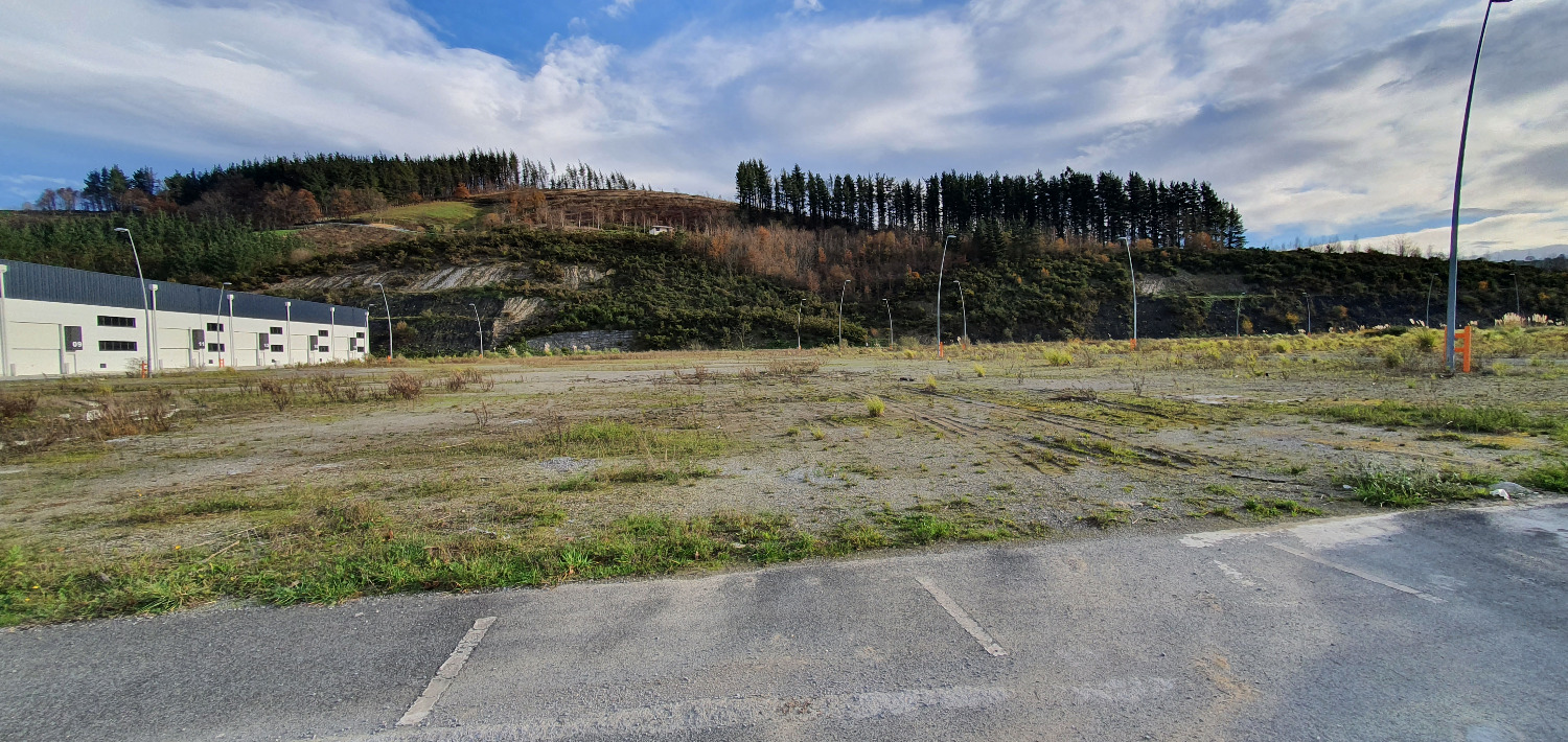 Plot salgai in Bergara