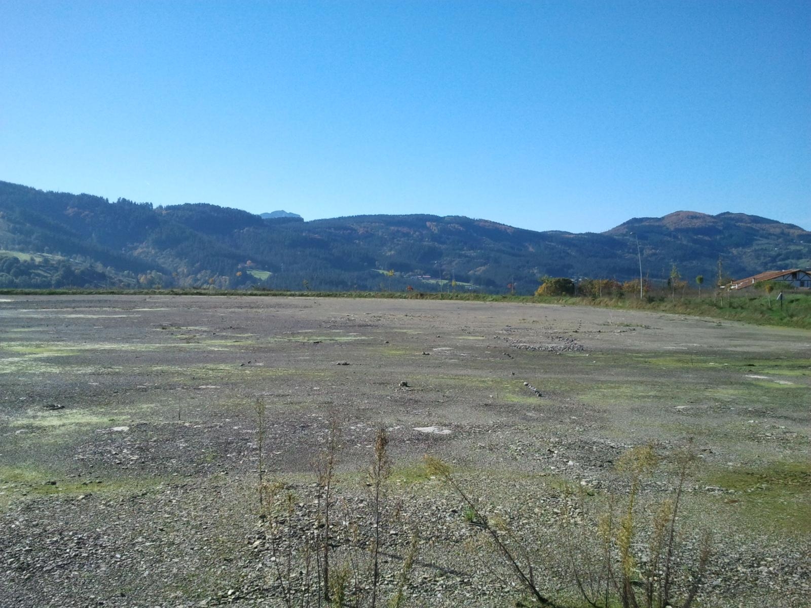 Plot salgai in Bergara