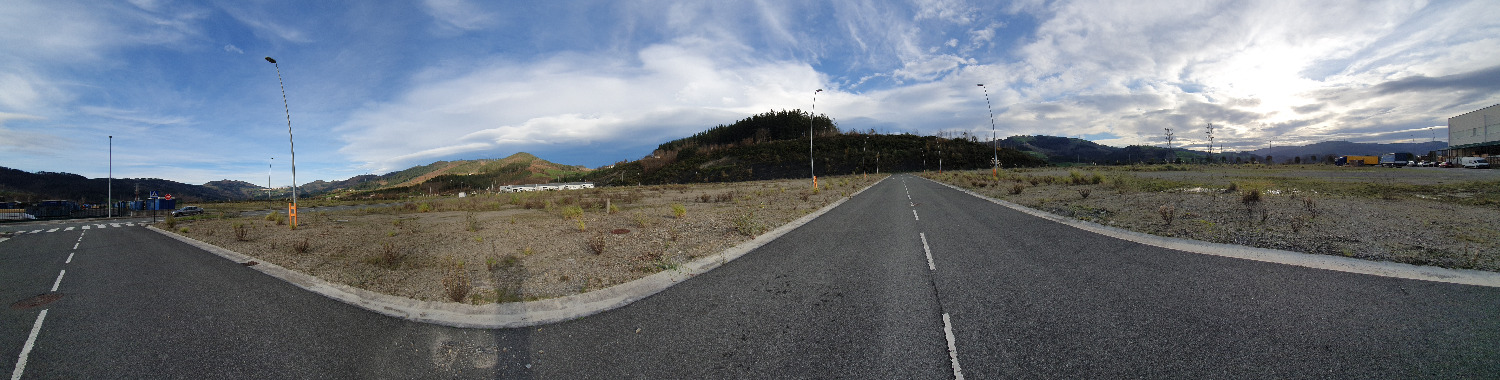 Plot salgai in Bergara