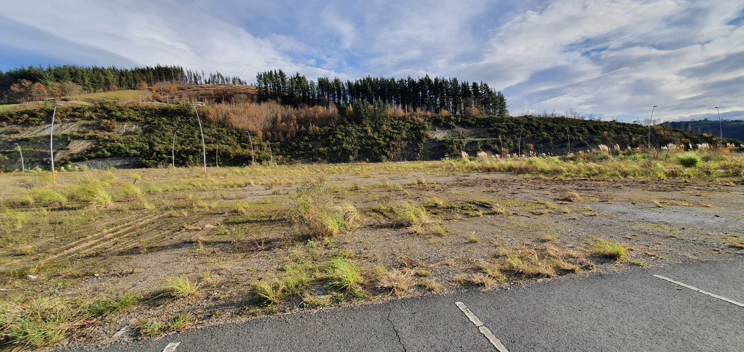 Plot salgai in Bergara