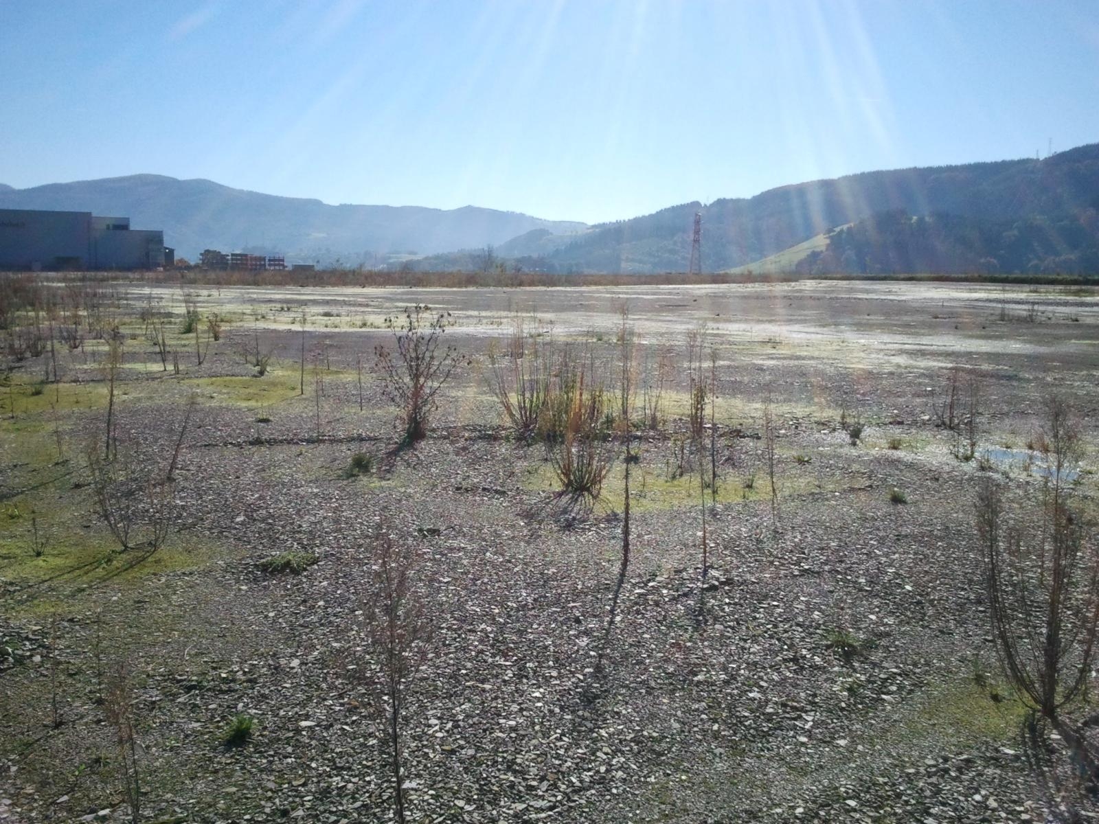 Plot salgai in Bergara